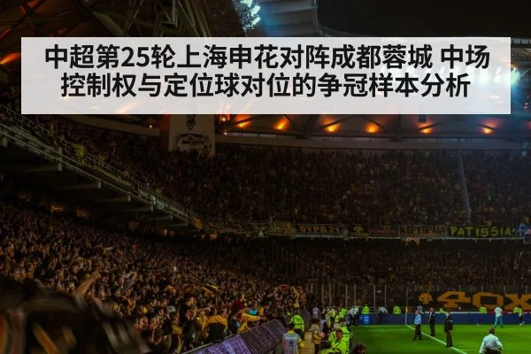 soccer stadium night match crowd