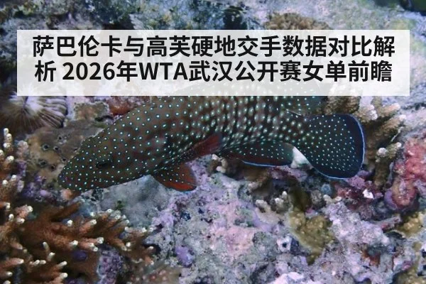 萨巴伦卡与高芙硬地交手数据对比解析 2026年WTA武汉公开赛女单前瞻